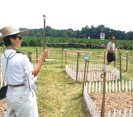 Arrow maze, Tanglewood 1999