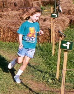 Arrow Maze, Howell Farm, 1999